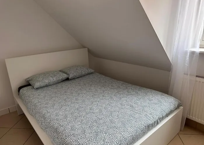 Golebia-budget Отель типа 